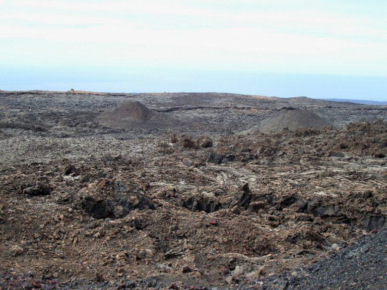 Lanzarote Galerie