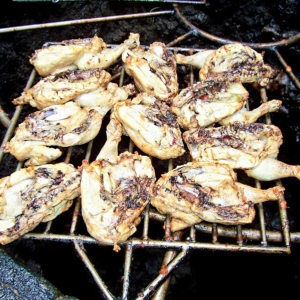 Lanzarote 12