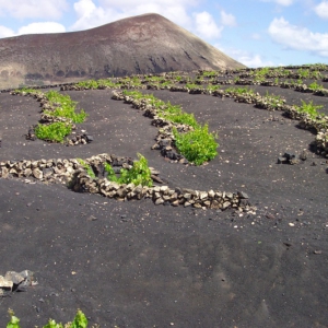 Lanzarote 15