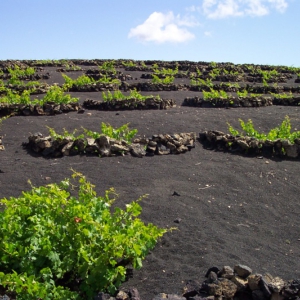 Lanzarote 16