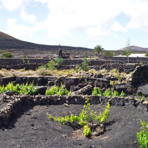 Lanzarote 17
