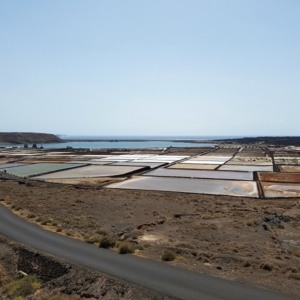 Lanzarote 49