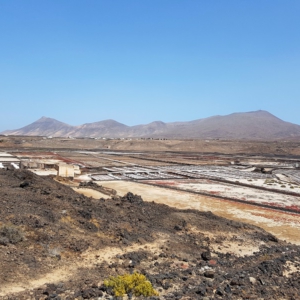 Lanzarote 50