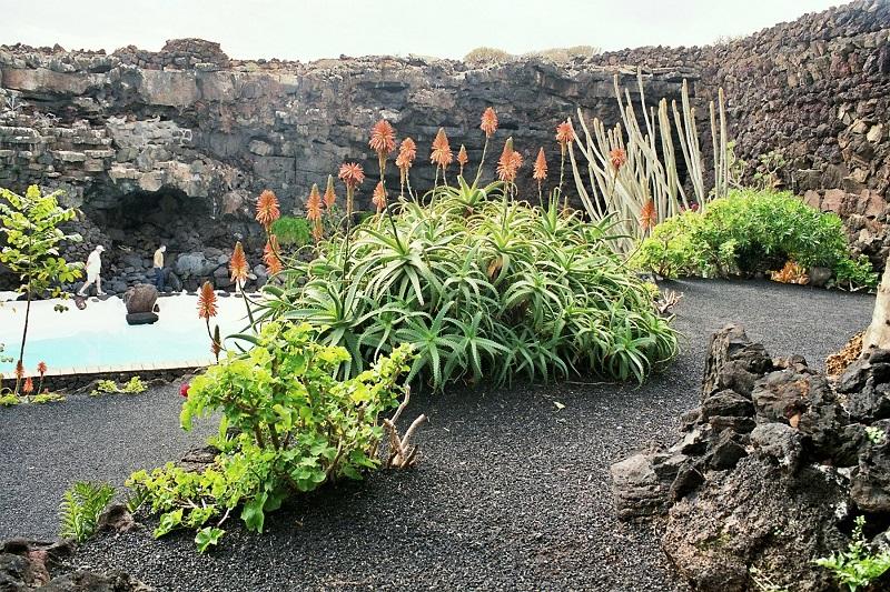 Lanzarote 56