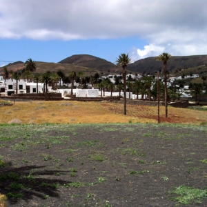 Lanzarote 73