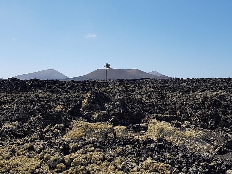 Lanzarote 79
