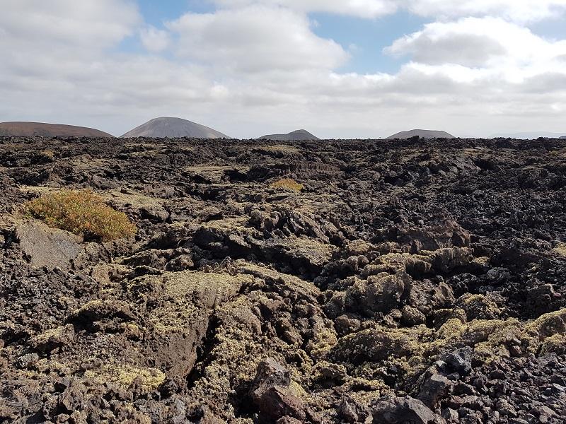 Lanzarote 80