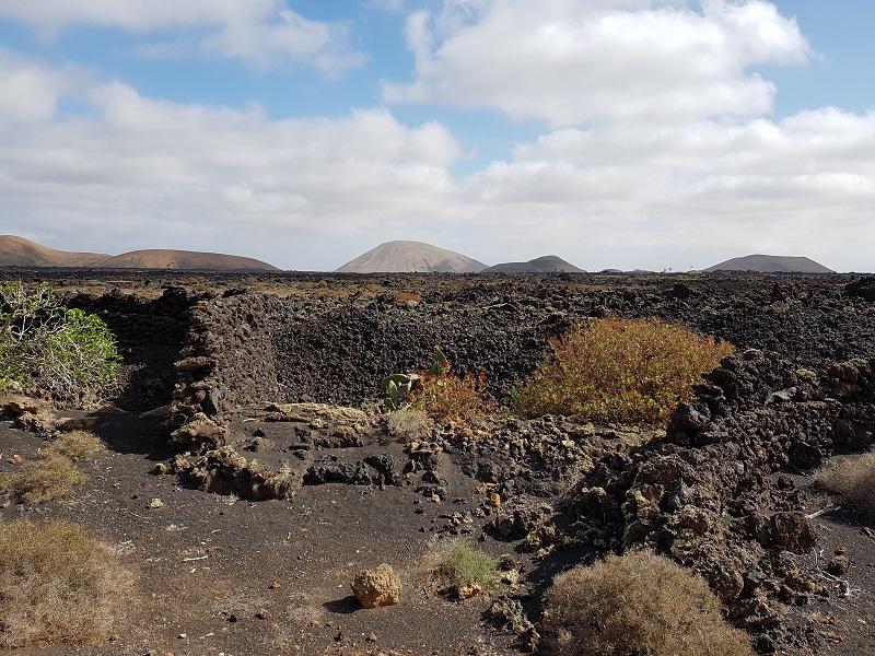 Lanzarote 81