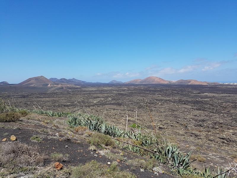 Lanzarote 82