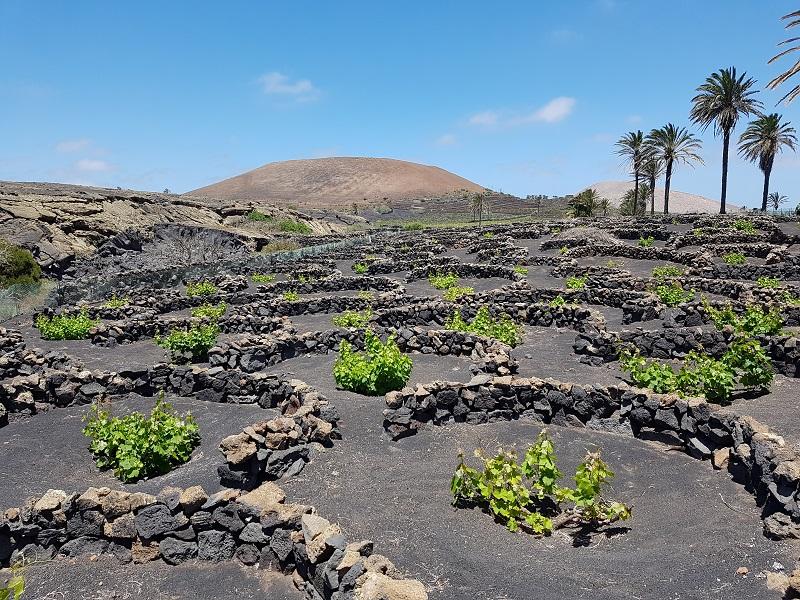 Lanzarote 87