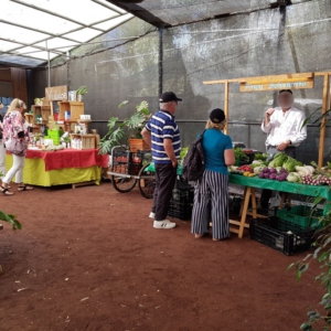 markt 17b