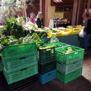 markt 20