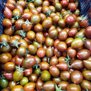 markt 24