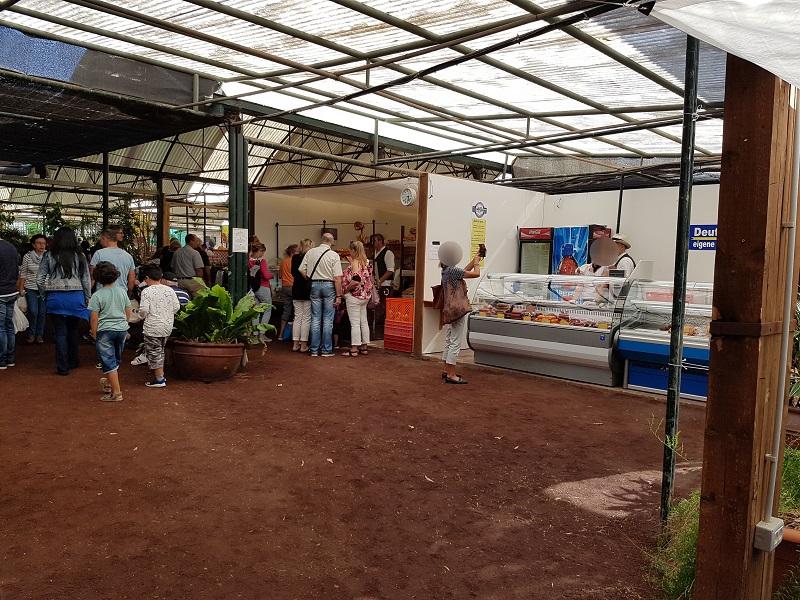 markt 37