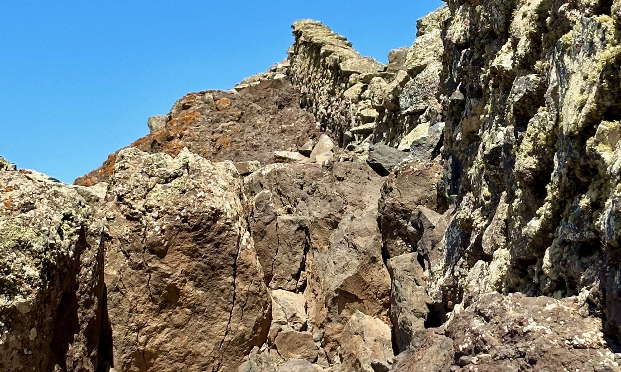 Cerro del Aceitunal
