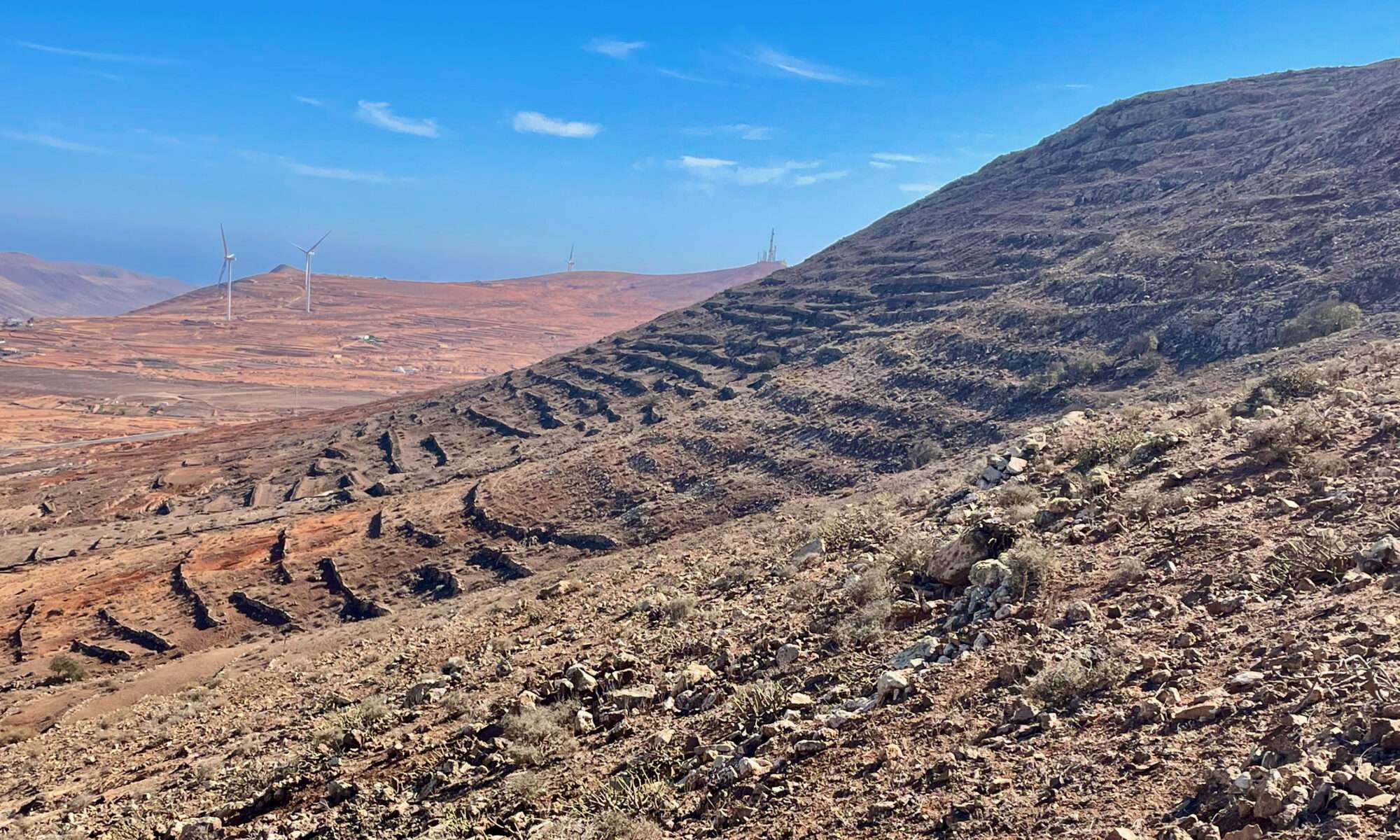Cerro del Aceitunal