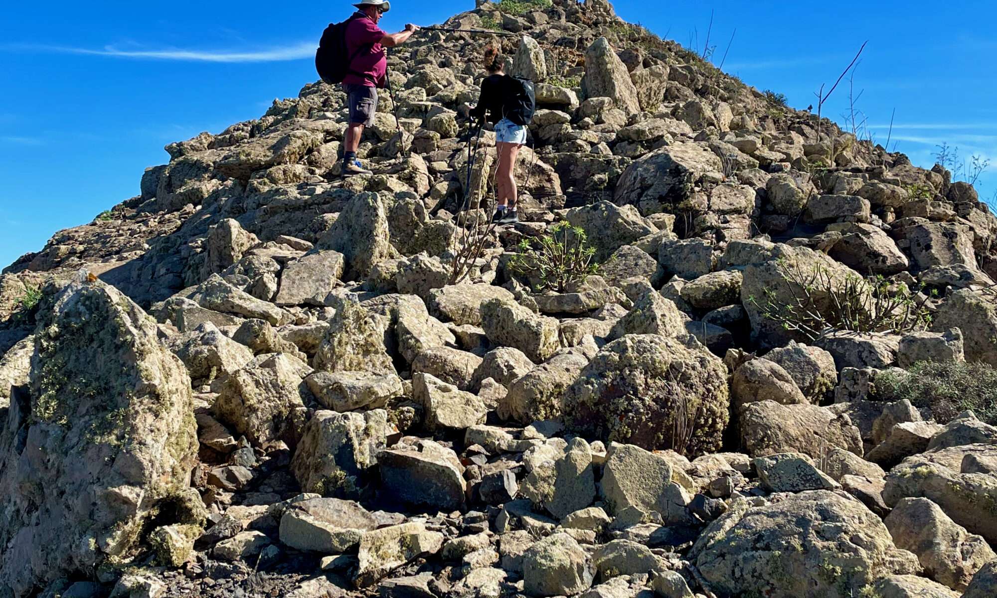 Cerro del Aceitunal