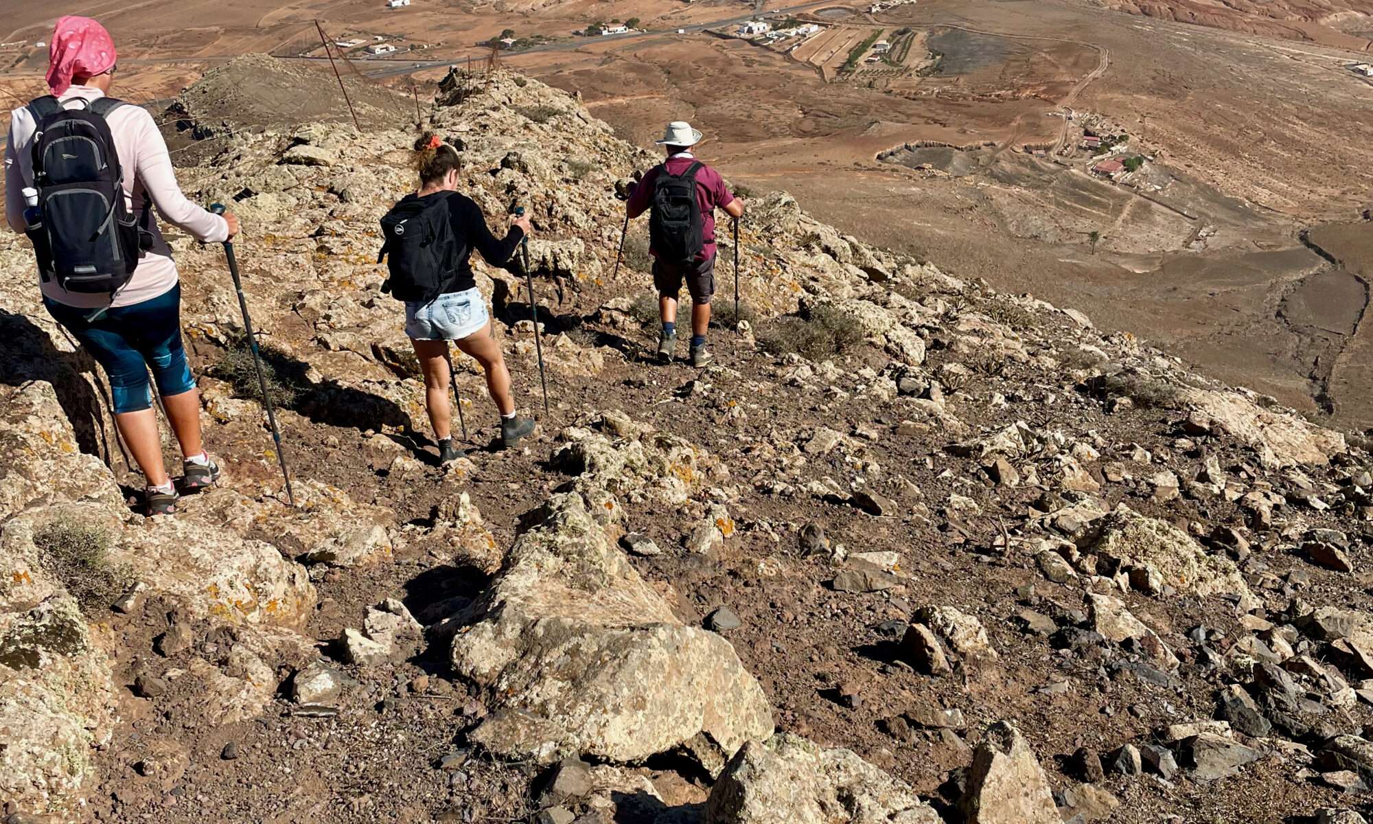 Cerro del Aceitunal