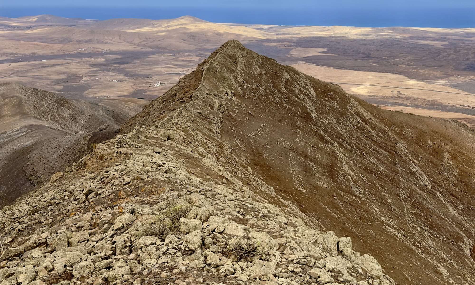 Cerro del Aceitunal