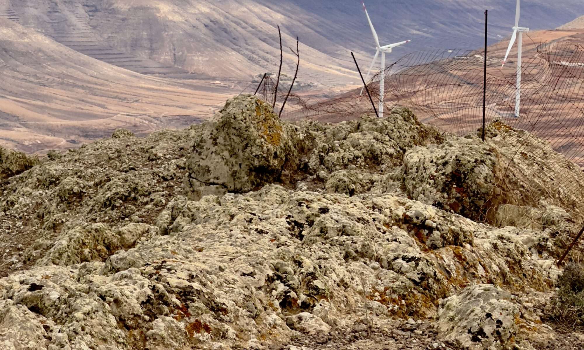 Cerro del Aceitunal