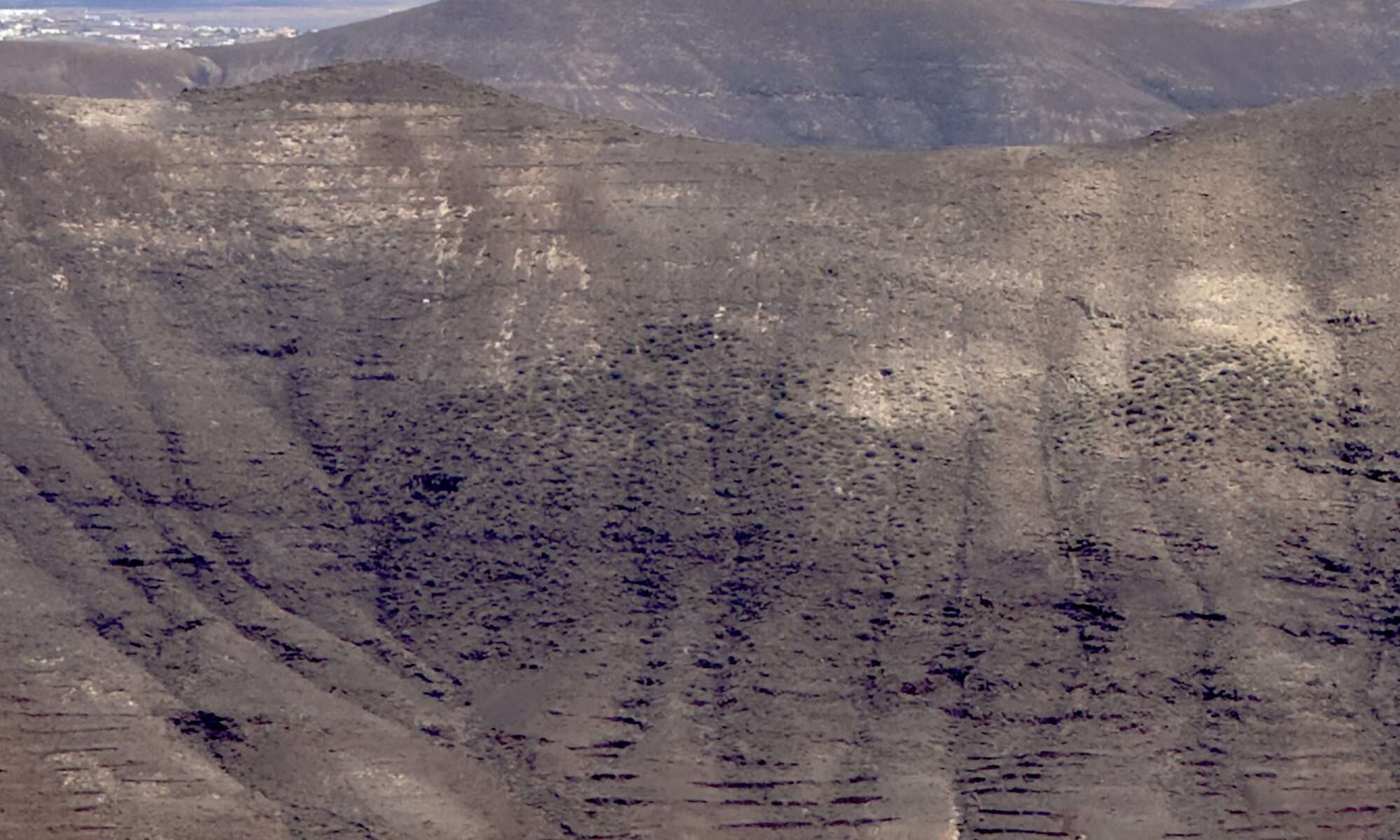Cerro del Aceitunal