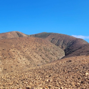 Nippelberg 10