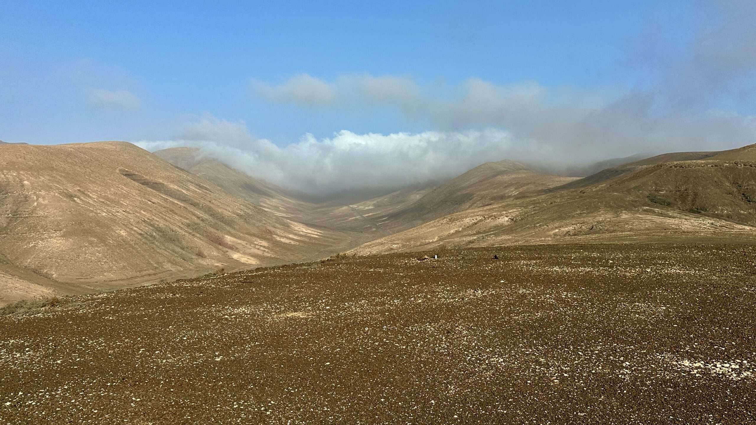 Barranco de Los Canarios